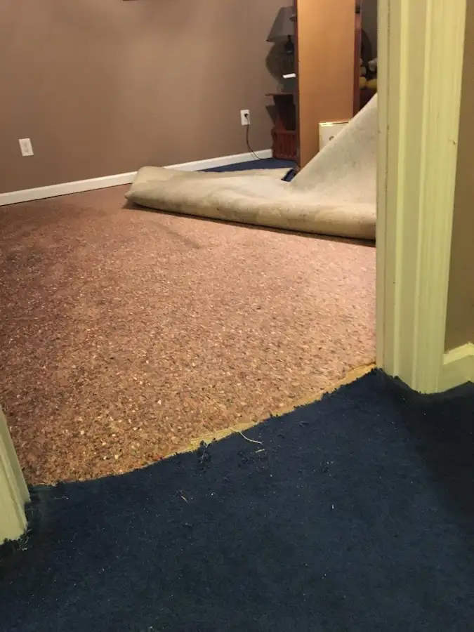 Carpet pad removal revealing water damage during Drying & Dehumidification in Kennett