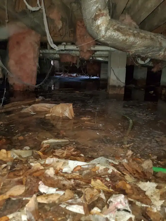 Crawl space flood assessment for Commercial Water Damage Restoration in Kennett